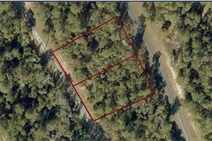 8002-0009-06 & 8002-0009- Alley Rd, Ocala, FL 34473 - Photo 1