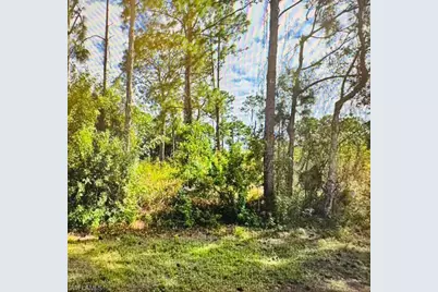 719 Foxtail St E, Lehigh Acres, FL 33974 - Photo 1