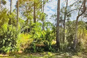 221 Victoria Ave S, Lehigh Acres, FL 33974 - Photo 1