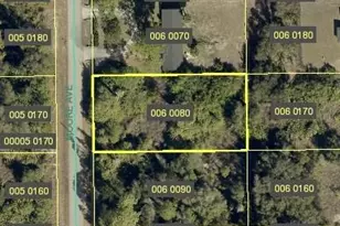 1608 Moore Ave, Lehigh Acres, FL 33972 - Photo 1