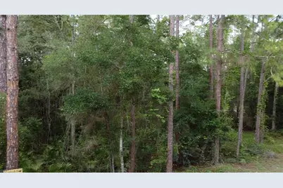 7176 Norway St, Ridge Manor Estates, FL 33597 - Photo 8