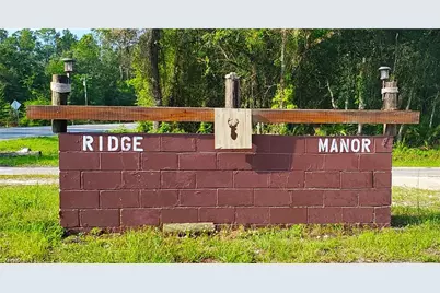 7176 Norway St, Ridge Manor Estates, FL 33597 - Photo 12