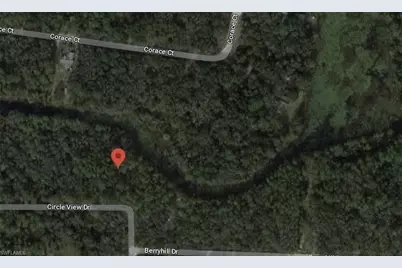 7176 Norway St, Ridge Manor Estates, FL 33597 - Photo 2