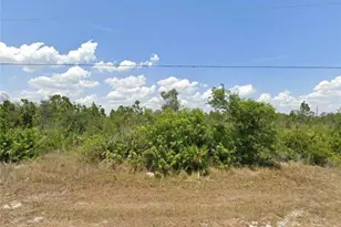 14154 Whittier Ln, Port Charlotte, FL 33981 - Photo 1