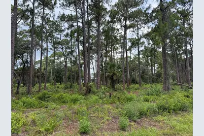 1911 McArthur Ave, Lehigh Acres, FL 33972 - Photo 2