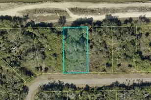 1967 Walcott Loop, Lehigh Acres, FL 33972 - Photo 1
