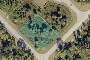 1131210313 Farr Ave, North Port, FL 34288 - Photo 1
