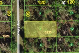 13340 Cappy Terrace, Punta Gorda, FL 33955 - Photo 1