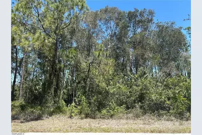 665 Knapp St, Lehigh Acres, FL 33974 - Photo 4