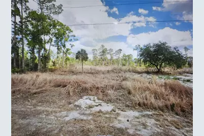 908 Leroy Ave, Lehigh Acres, FL 33972 - Photo 2