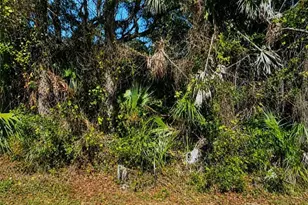 Stockton Ave, North Port, FL 34286 - Photo 1