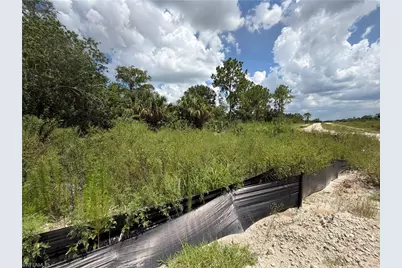 3301 Terry Ave N, Lehigh Acres, FL 33971 - Photo 14