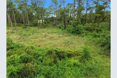 2005 Columbus Ave, Alva, FL 33920 - Photo 10