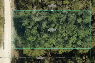 R01-221-17-3357-5520-0170 Cedarwood Ave, Weeki Wachee, FL 34614 - Photo 1