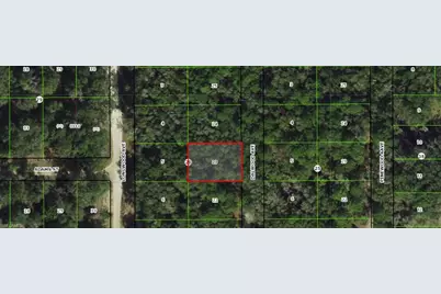 709 Dalwood Ave, Inverness, FL 34453 - Photo 1