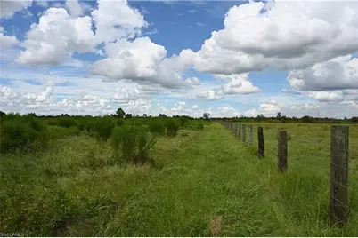 0 County Line Rd E, Fort Meade, FL 33841 - Photo 4