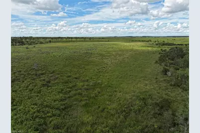 0 County Line Rd E, Fort Meade, FL 33841 - Photo 6