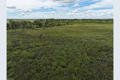 0 County Line Rd E, Fort Meade, FL 33841 - Photo 16