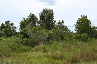 0 County Line Rd E, Fort Meade, FL 33841 - Photo 18