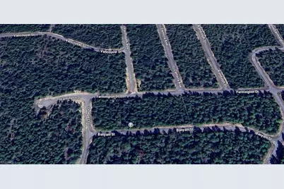 Banyam St, Chipley, FL 32428 - Photo 2