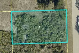 6017 Pat Ave N, Lehigh Acres, FL 33971 - Photo 1