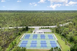 20313 Camino Torcido Loop, North Fort Myers, FL 33917 - Photo 20