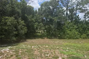 425 Tanner Rd, Felda, FL 33930 - Photo 14