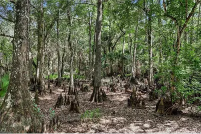 2291 Secretariat Dr, Labelle, FL 33935 - Photo 40