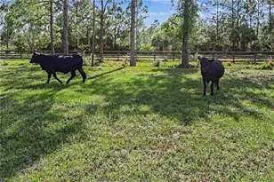 2291 Secretariat Dr, Labelle, FL 33935 - Photo 44