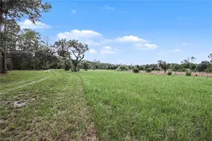 2291 Secretariat Dr, Labelle, FL 33935 - Photo 42