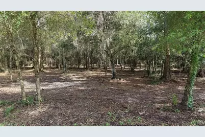 824 Woodland Blvd, Clewiston, FL 33440 - Photo 4