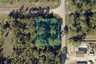 1246 Sunrise Blvd, Lehigh Acres, FL 33974 - Photo 1
