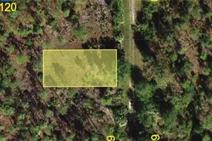 13347 Cappy Terrace, Punta Gorda, FL 33955 - Photo 1