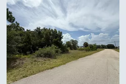 1907 Coy Ave N, Lehigh Acres, FL 33971 - Photo 2
