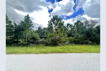 12467 Divan Ave, Port Charlotte, FL 33981 - Photo 1