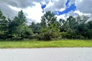 12467 Divan Ave, Port Charlotte, FL 33981 - Photo 1