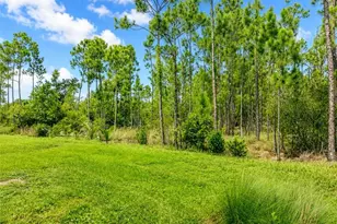 20587 Plumwood Loop, North Fort Myers, FL 33917 - Photo 22