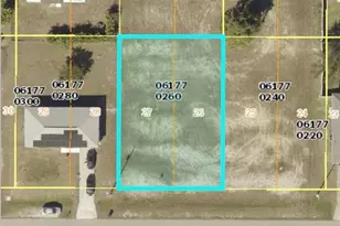 2917 NW 25th Terrace, Cape Coral, FL 33993 - Photo 1