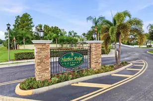 368 Harbor Ridge Dr, Palm Harbor, FL 34683 - Photo 40