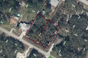 305 & 307 Durham Ave, Lake Placid, FL 33852 - Photo 1