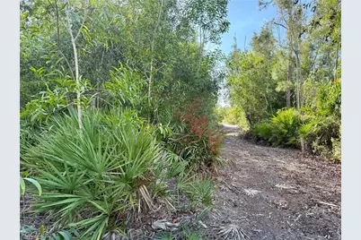 Guava Ave, Bokeelia, FL 33922 - Photo 2