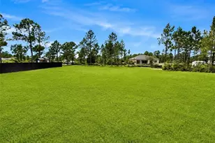 919 Hibiscus Ave, Lehigh Acres, FL 33972 - Photo 4