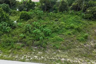 420 Hamilton Ave, Lehigh Acres, FL 33972 - Photo 1