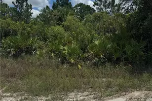 518 Louis Ave, Lehigh Acres, FL 33972 - Photo 1