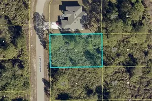 507 Wabasso Ave S, Lehigh Acres, FL 33974 - Photo 1