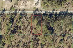 1814-007-013 NW Shamrock Ave, Dunnellon, FL 34431 - Photo 1
