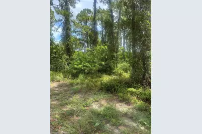 2110 Jackson Ave, Alva, FL 33920 - Photo 2