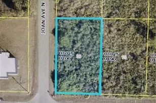 2918 66th St W, Lehigh Acres, FL 33971 - Photo 1