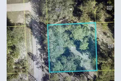 1602 Hibiscus Ave, Lehigh Acres, FL 33972 - Photo 1