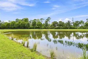 3922 Spotted Eagle Wy, Fort Myers, FL 33966 - Photo 30